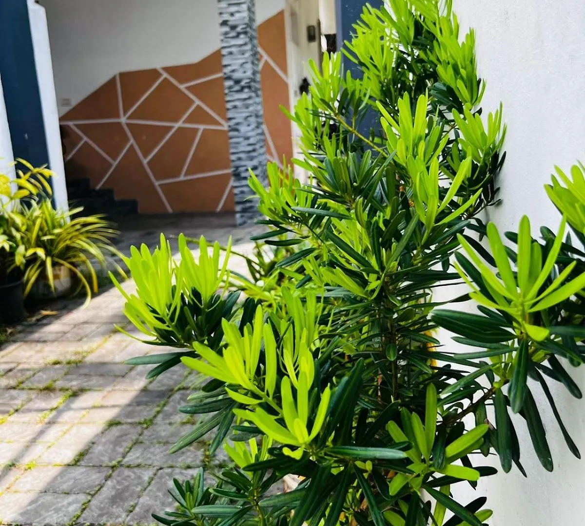 Babylon Homestay Kochi